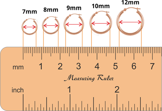 Nehita Oval Diamond Inside Outside Hoop Earring